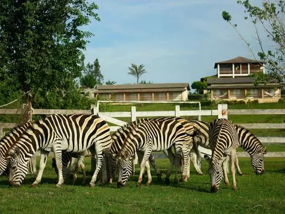 Hotelli Fazenda Boa Luz