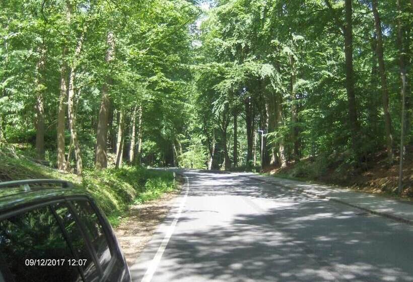 Отель Frøslev Kro