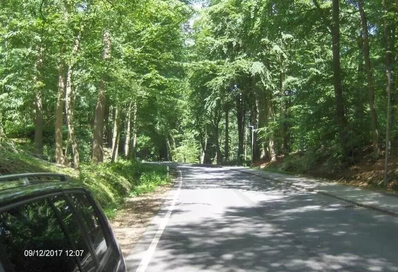 Отель Frøslev Kro