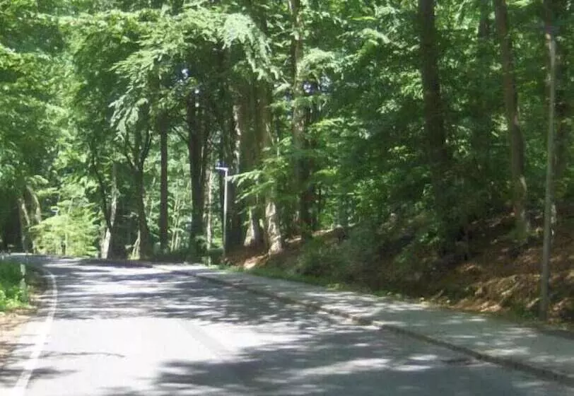 Отель Frøslev Kro