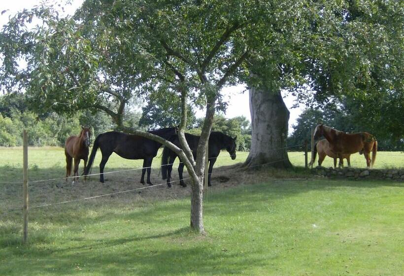 Отель Frøslev Kro