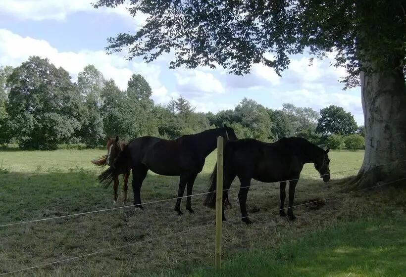 Отель Frøslev Kro