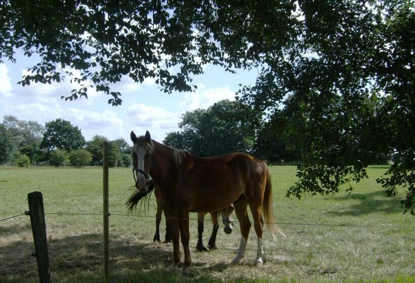 Отель Frøslev Kro