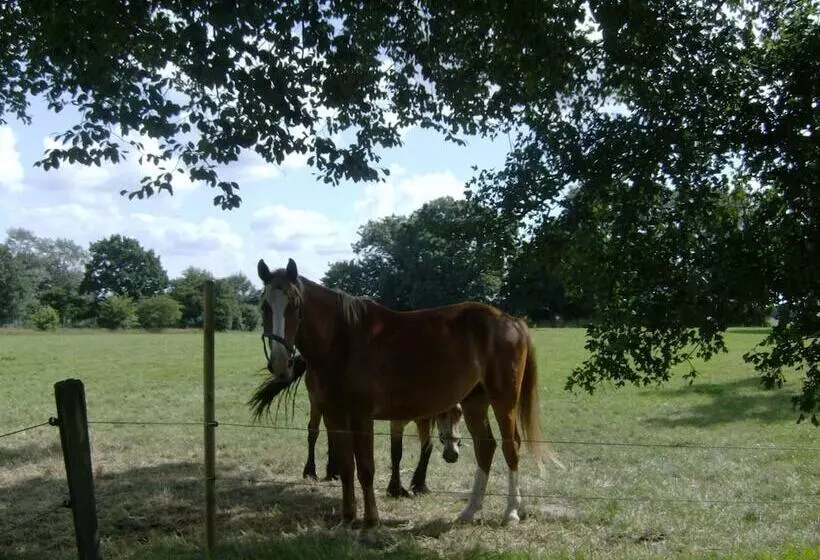 Отель Frøslev Kro