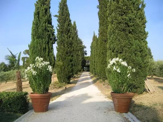 ホテル Il Parco Di Kipo Agroturismo