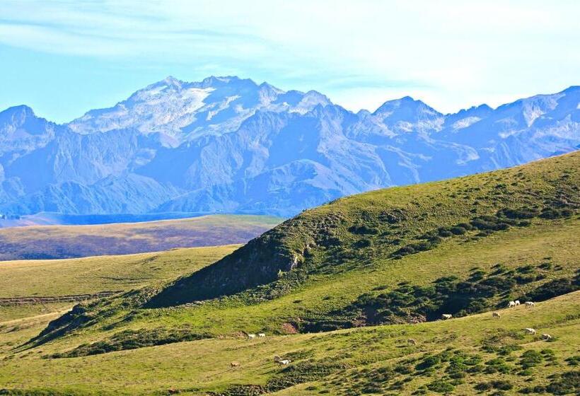 Logis Hotels   Hôtel   Restaurant   Bar   Le Sapin Fleuri