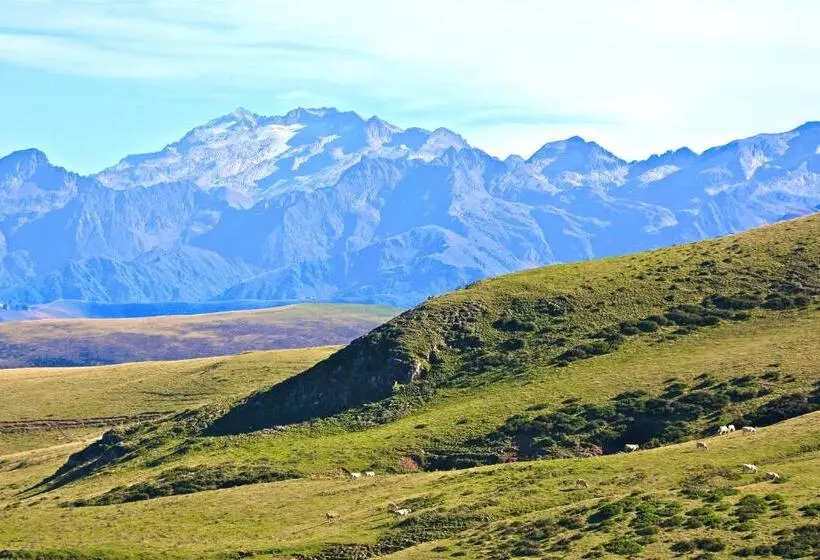 Logis Hotels   Hôtel   Restaurant   Bar   Le Sapin Fleuri