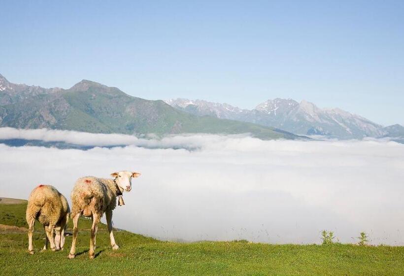 Отель Le Viscos