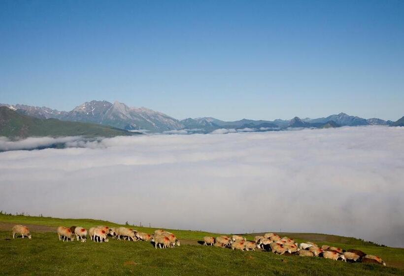 Отель Le Viscos