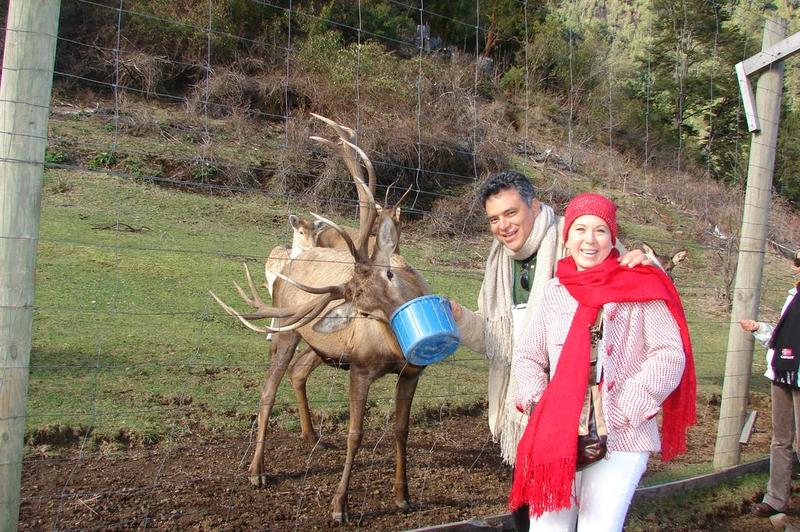 酒店 Natura Patagonia