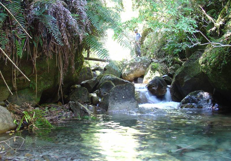 酒店 Natura Patagonia