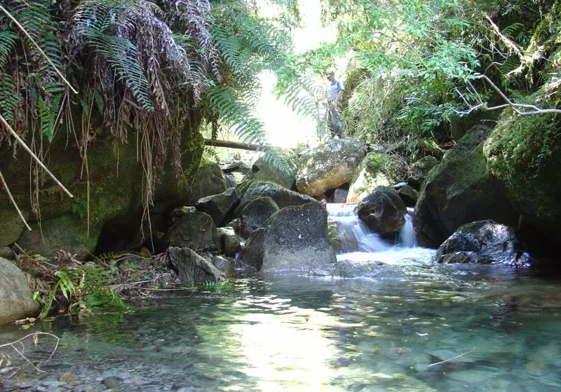 Hotel Natura Patagonia