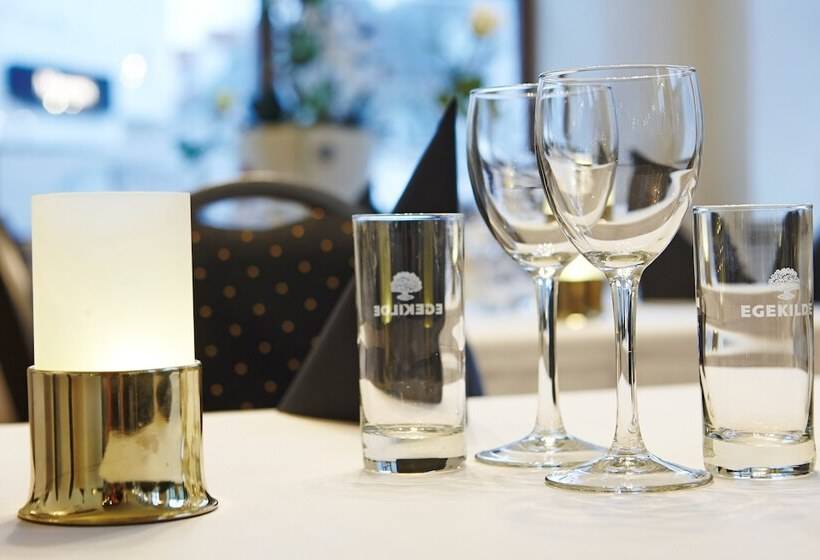 Hotel Phønix Brønderslev