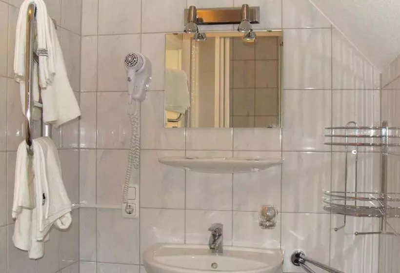 Отель Weisses Ross