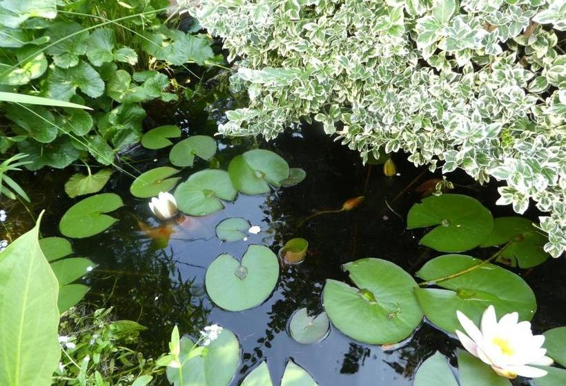 פנסיון Gasthof Zur Querenburg