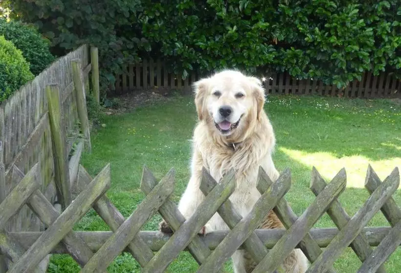 פנסיון Gasthof Zur Querenburg