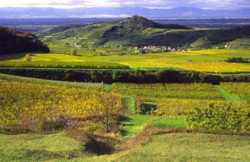 膳宿费 Landgasthof Zum Lamm