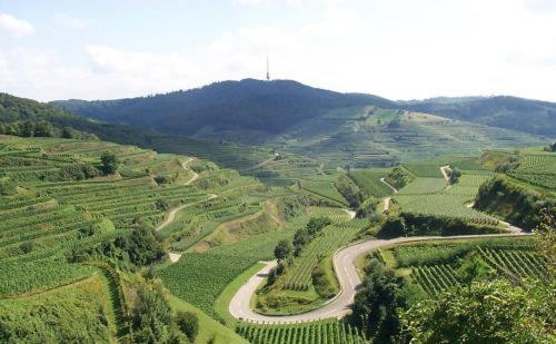 펜션 Landgasthof Zum Lamm