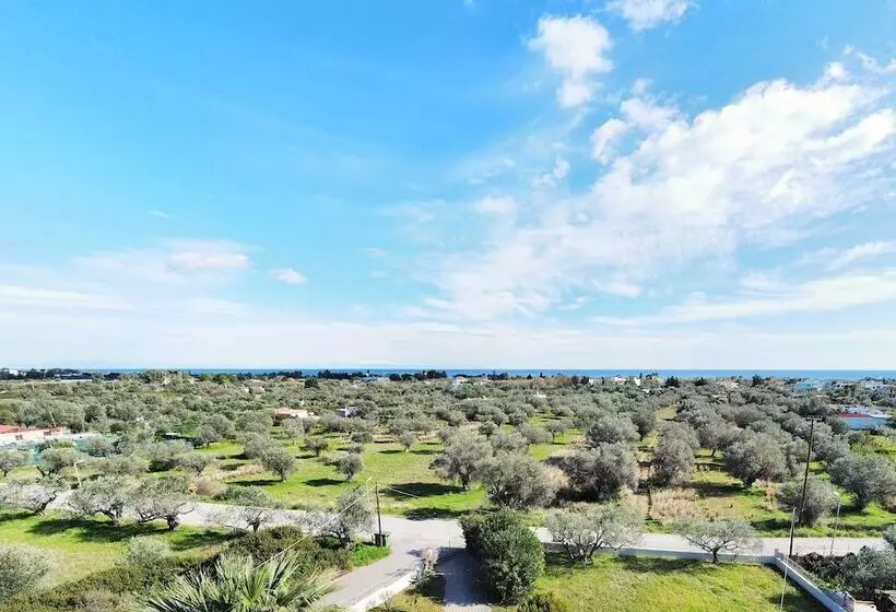 Villa Olive Grove