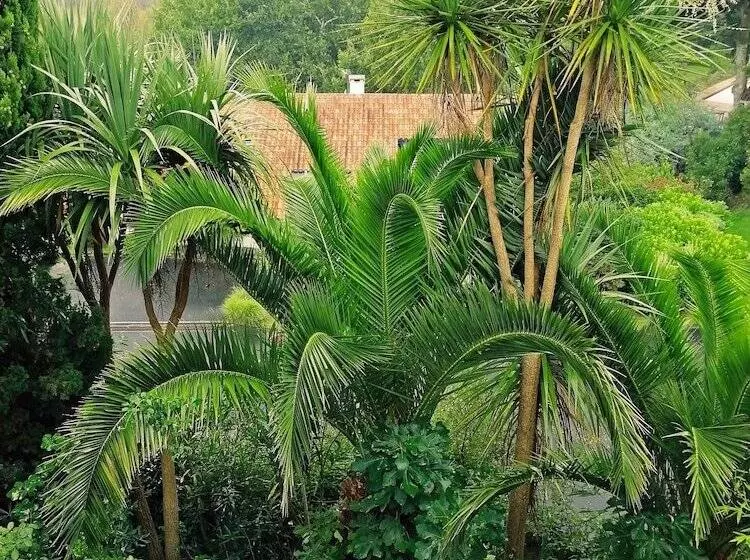 Aamiaismajoitus (B&B) Atlantikoa