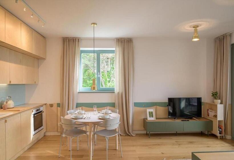 Brașov Citadel View Apartment