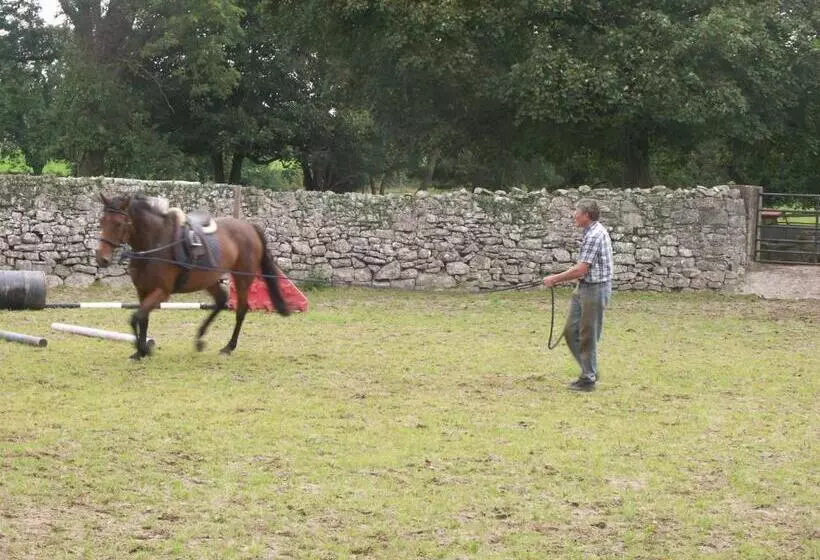 Cahergal Farmhouse B&b