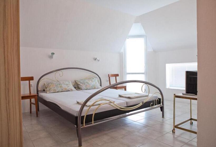 پانسیون Guest House Villa Rose