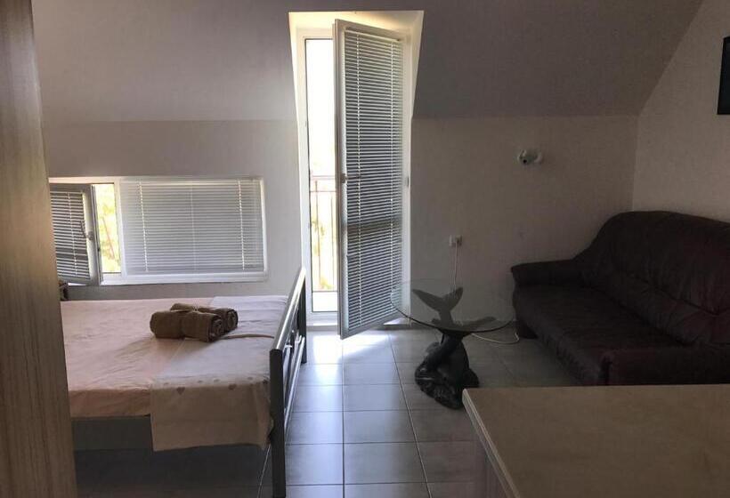 پانسیون Guest House Villa Rose