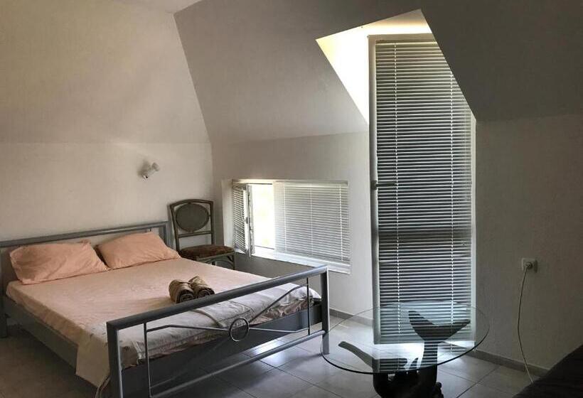 پانسیون Guest House Villa Rose