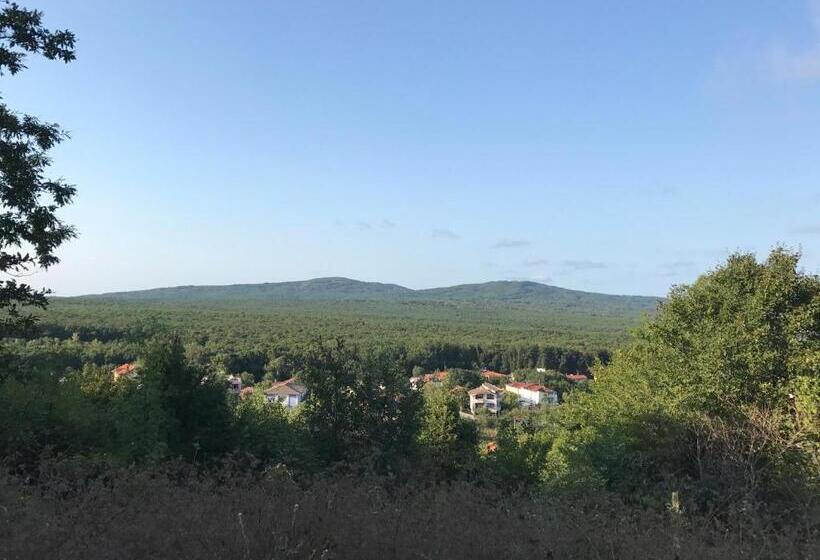 پانسیون Guest House Villa Rose