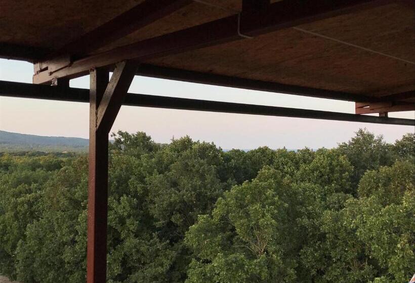 پانسیون Guest House Villa Rose