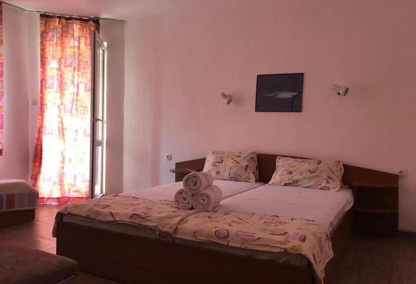 پانسیون Guest House Villa Rose