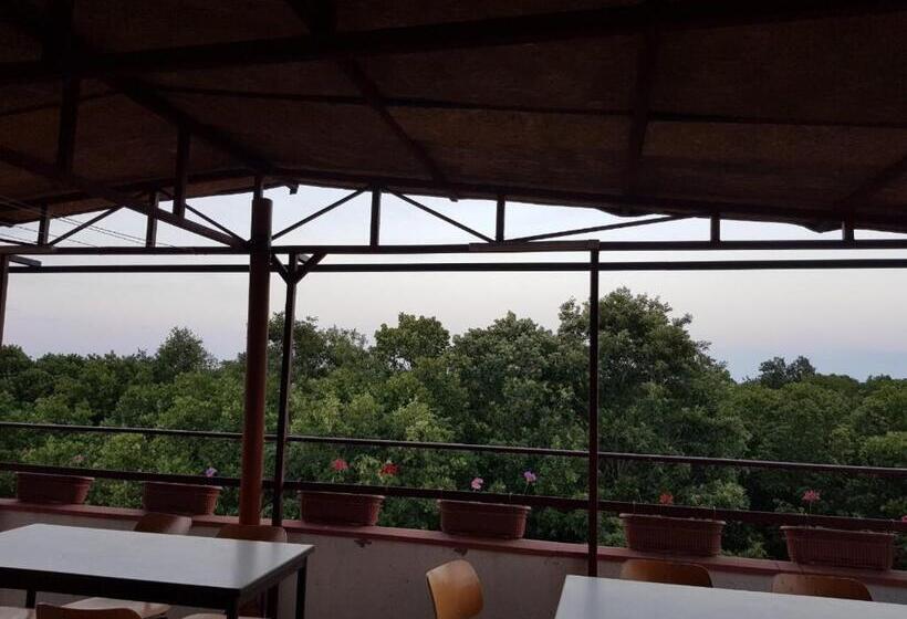 پانسیون Guest House Villa Rose