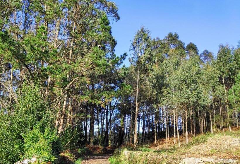 Raio Do Sol   Apartamento Turístico