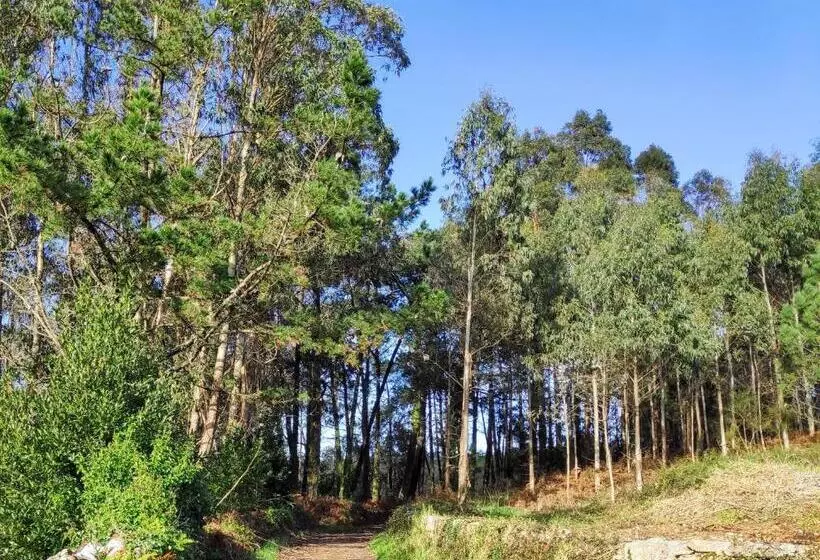 Raio Do Sol   Apartamento Turístico