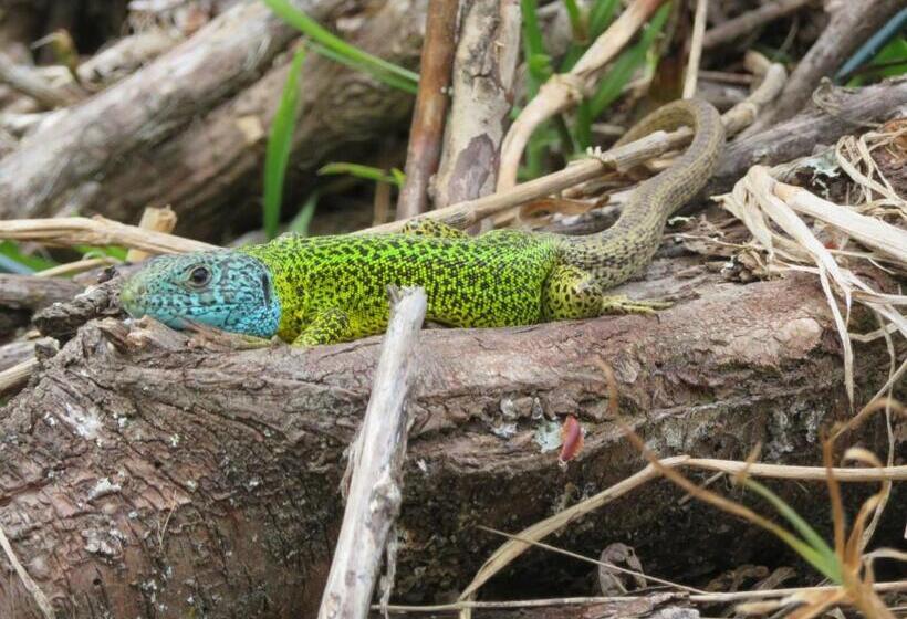 Raio Do Sol   Apartamento Turístico