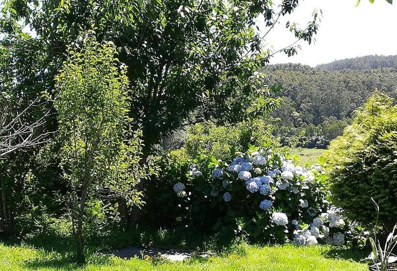 Raio Do Sol   Apartamento Turístico