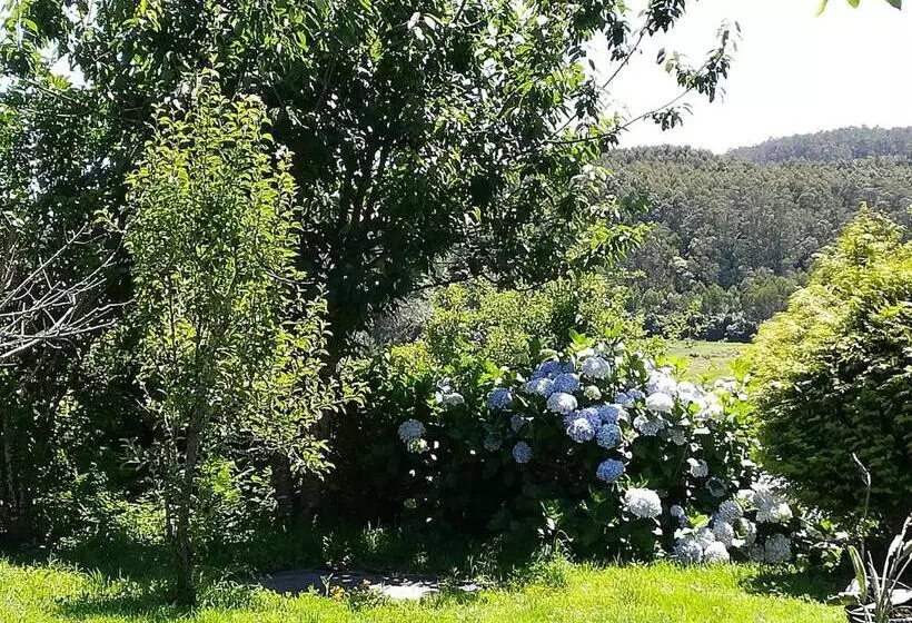 Raio Do Sol   Apartamento Turístico