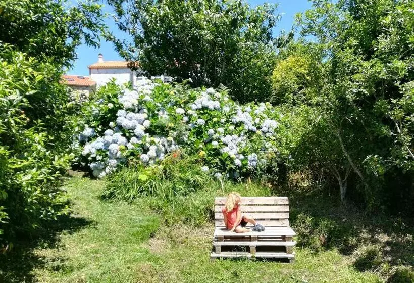 Raio Do Sol   Apartamento Turístico