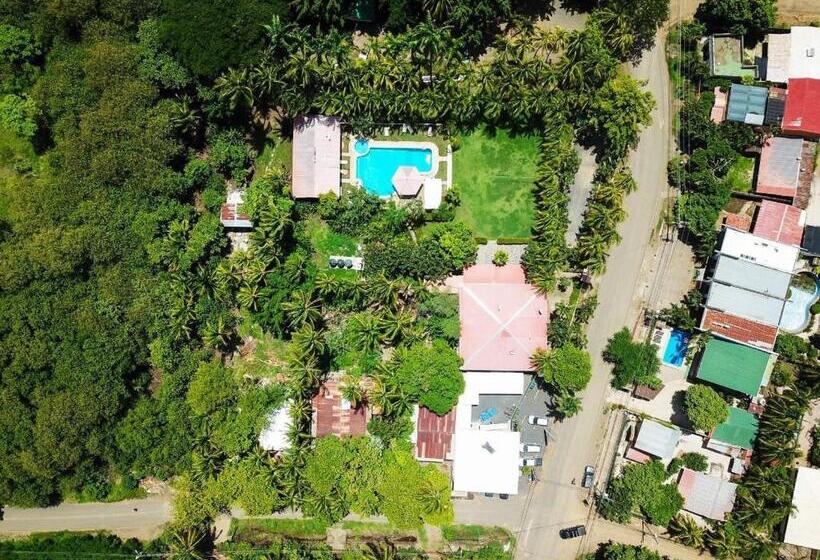 تختخواب و صبحانه Las Palmas