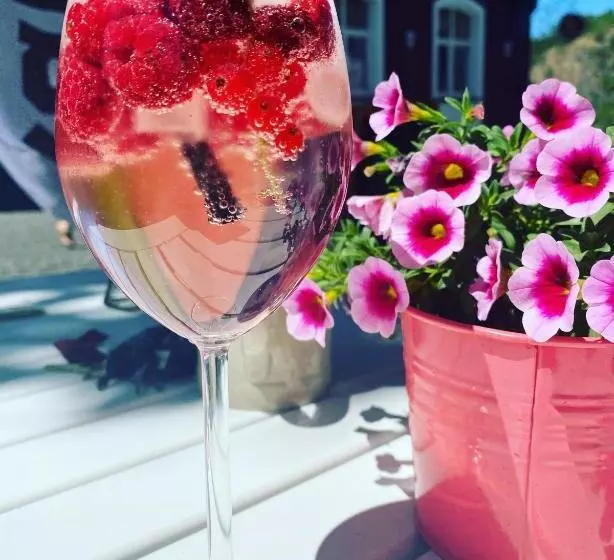 Hotelli Pension Zur Fähre