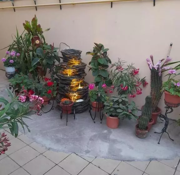 Pension  Vila Marius
