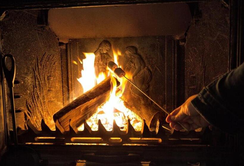 Crazy Villa Le Tertre 28 Heated Pool Basket 2h Paris 44p