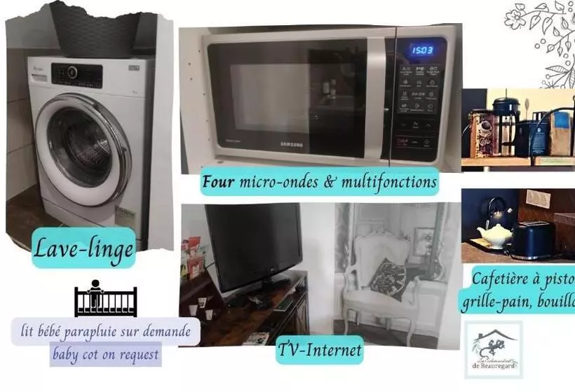 Les Salamandres De Beauregard