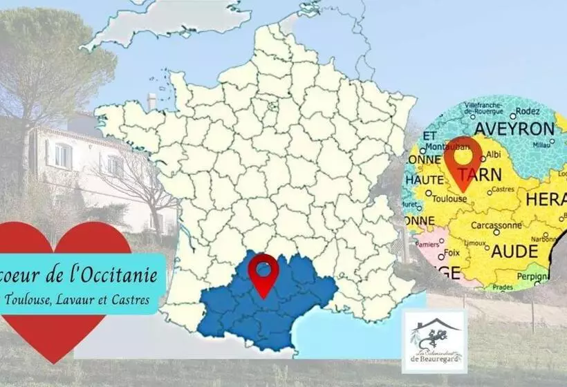 Les Salamandres De Beauregard