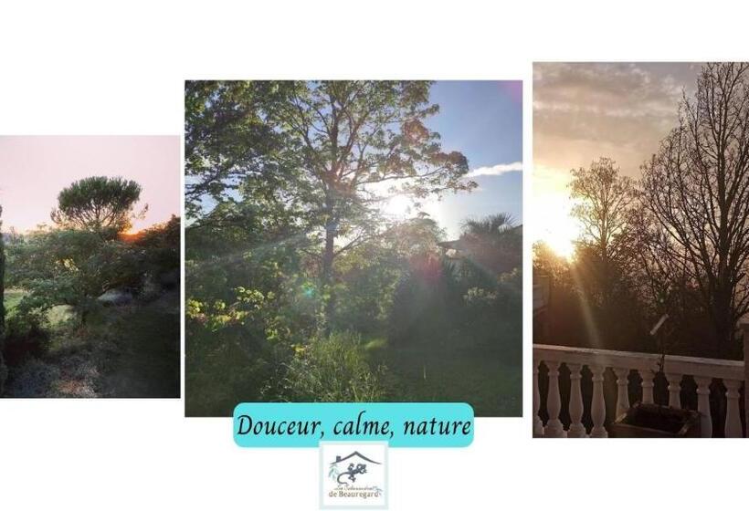 Les Salamandres De Beauregard