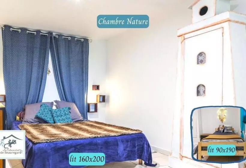 Les Salamandres De Beauregard