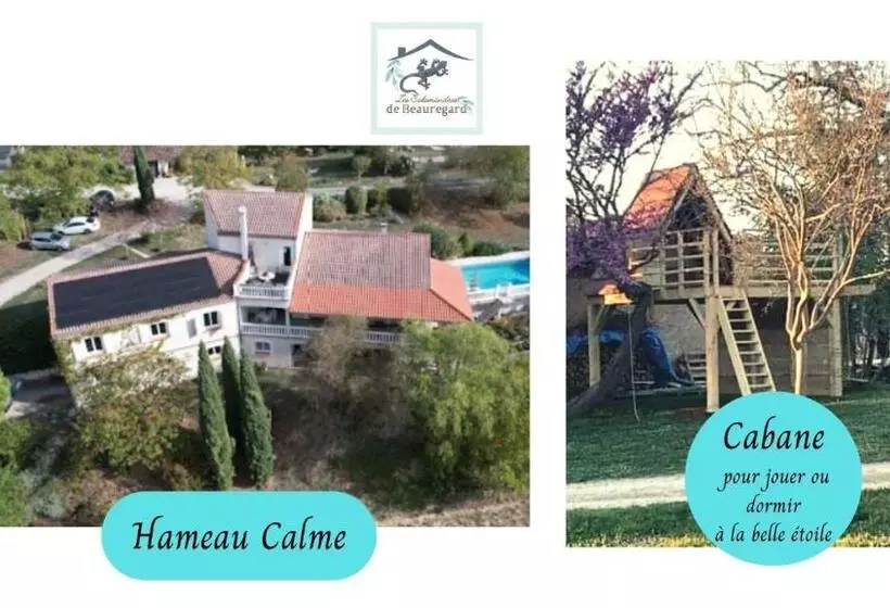 Les Salamandres De Beauregard