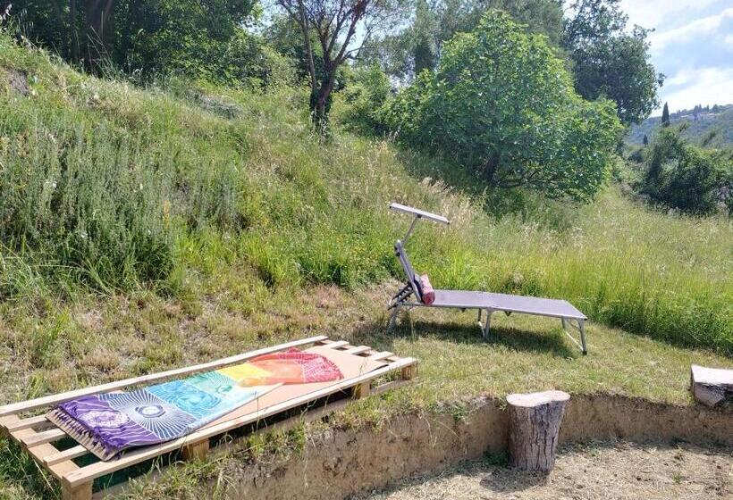 Apartma Salvia Guest House