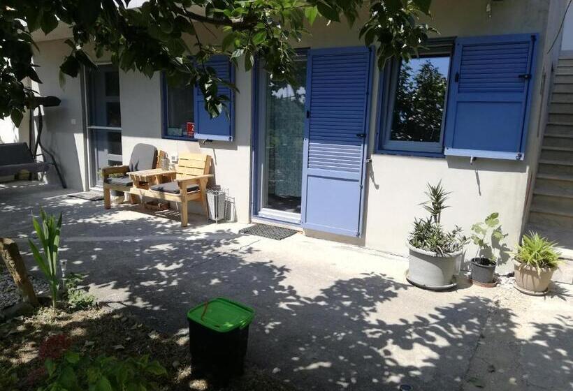 Apartma Salvia Guest House